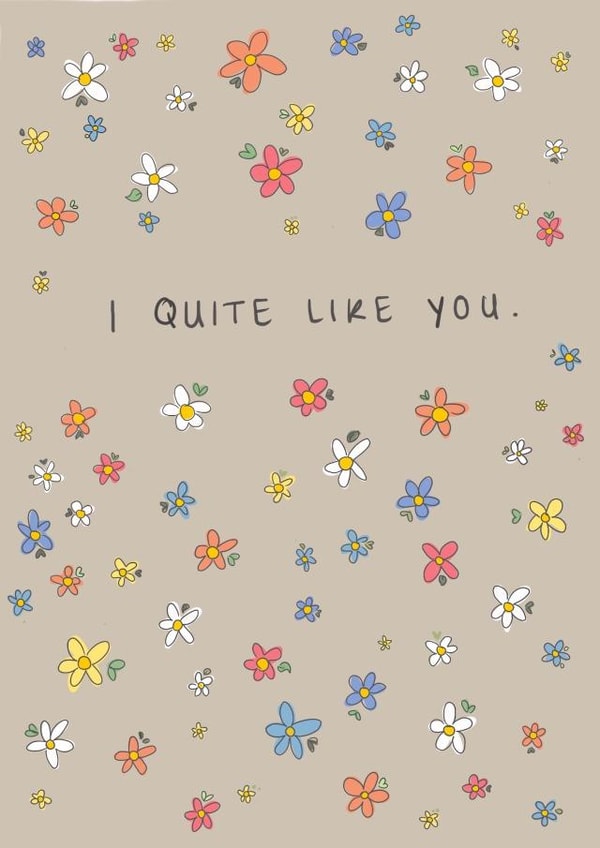 Cute and Romantic Valentines Love Card - I Quite Like You created by Sarah Symonds | Townhouse Creative