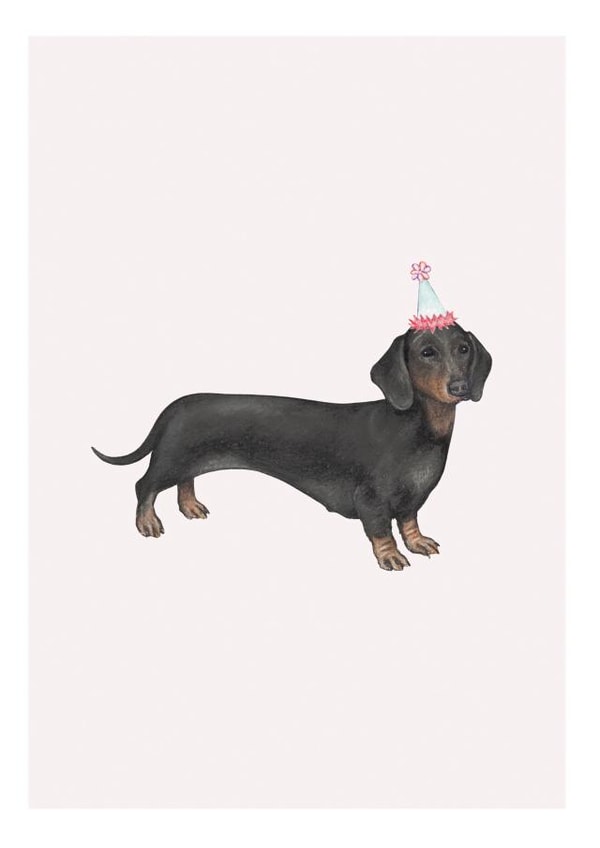 Sausage Dog Birthday Card - Party Hat created by Lottie Murphy