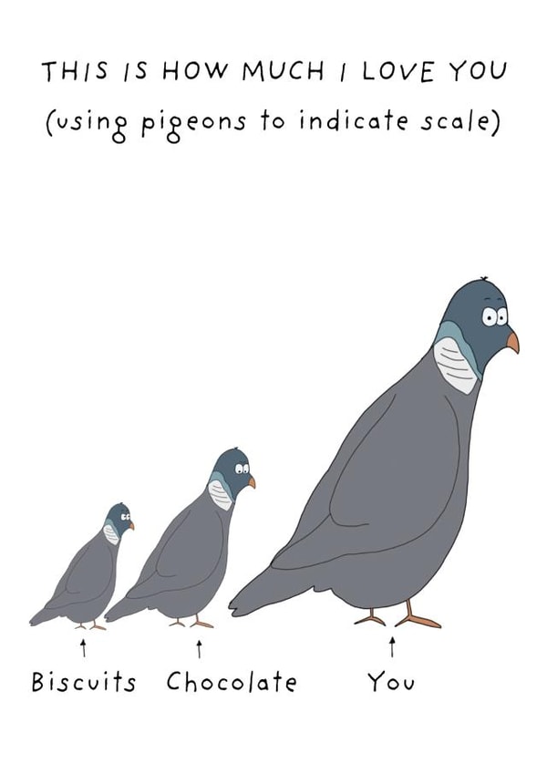 Funny card - for significant other - pigeons - love created by Not at all Jack
