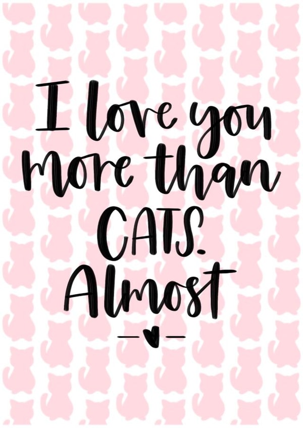 A cute valentines card from someone who loves cats too much! created by Mia Loves Letters