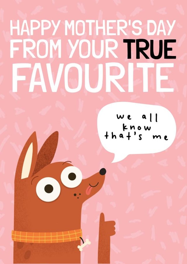 Funny Mother's Day Card - From the Favourite - From the Dog created by AbiGoLucky