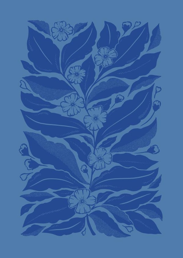 Flower Greeting Card - Mock Orange Botanical Illustration created by Banksia Creative