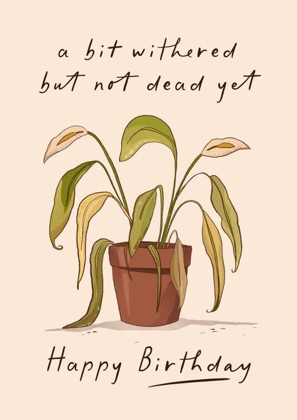 Funny Birthday Card - Not Dead Yet Withered House Plant created by Running with Scissors