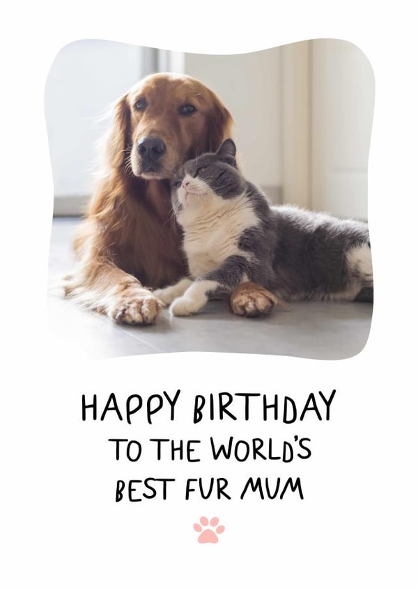 Cute Birthday Photo Card - Fur Mum - From Pets created by @hollielonglanddesigns
