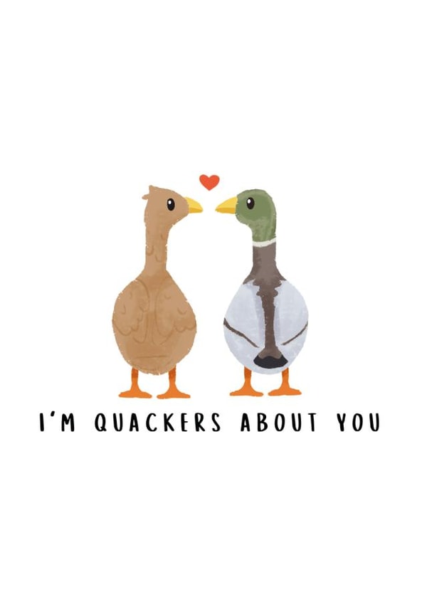 Cute Anniversary Card - Valentine's Day - Ducks - Quackers About You created by BYANIKA