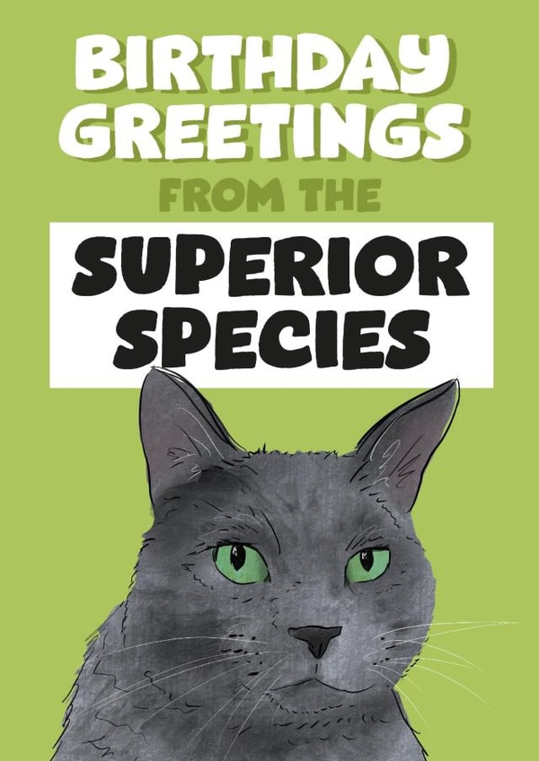 Funny Cute Cat Birthday Card - Cats are the Superior Species created by Afewhometruths