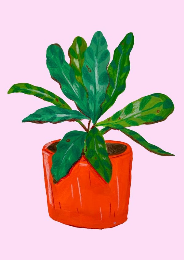 Blank Houseplant Card created by Lucy Birtwistle