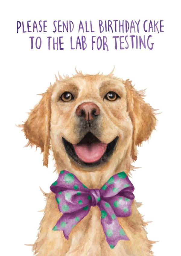 Cute and Funny Birthday Card - Lab(rador) Testing created by Citrus Bunn