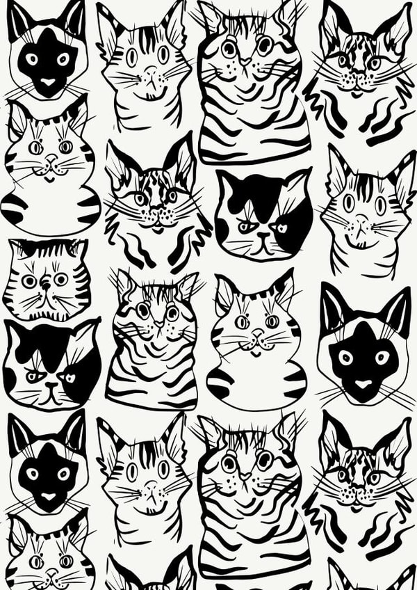 Cute Just Because Card - Illustrated Cats created by Sun & Stars