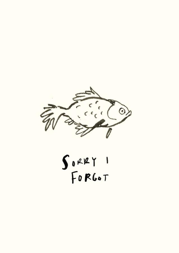 Funny Sorry Card - Belated Birthday - Sorry I Forgot - Fish created by Becca Hall illustration