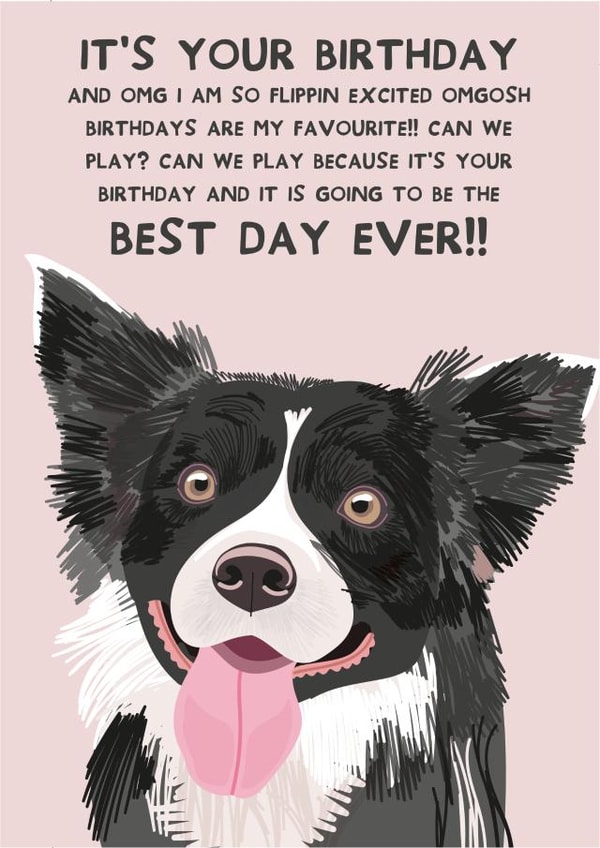 Cute Birthday Card - From the Dog - Best Day Ever - Border Collie created by From The Dog