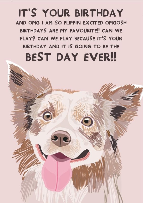 Cute Birthday Card - Best Day Ever - Border Collie - From the Dog created by From The Dog
