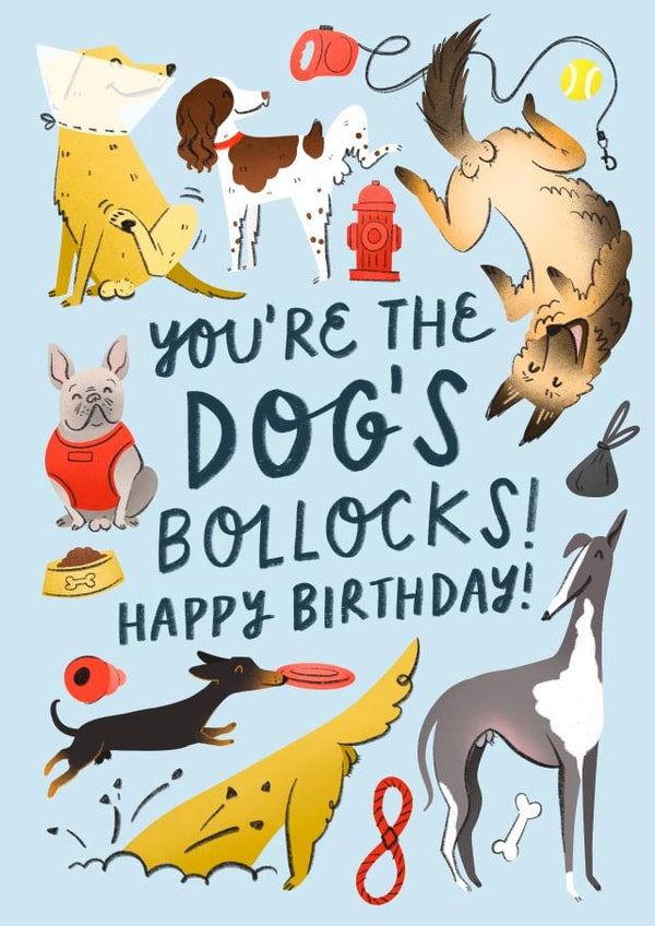 Funny Birthday Card - for a Dog Lover - You’re The Dog’s Bollocks! created by Soggy Day Studio