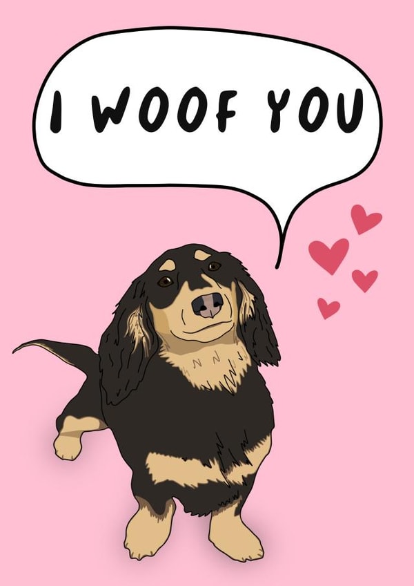 Cute Anniversary Card - Longhaired Dachshund - Sausage Dog created by TheYoungBandit .