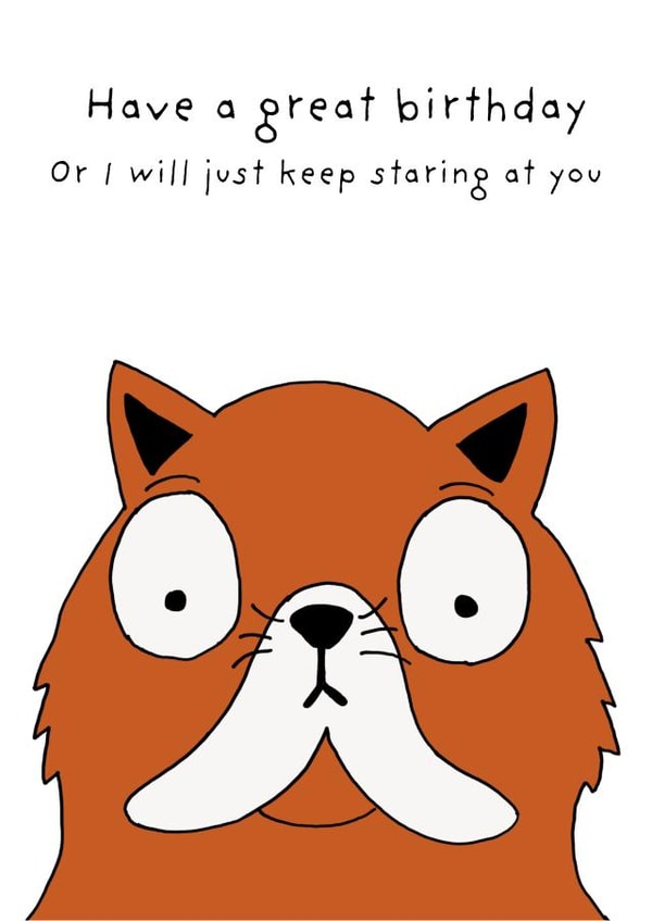 Cute Birthday Card - Cat - Keep Staring At You created by Not at all Jack