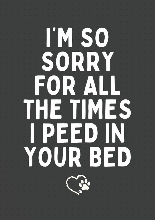 Funny Father's Day Card - For Pet Owner - Peed In Your Bed created by Sundiva Designs