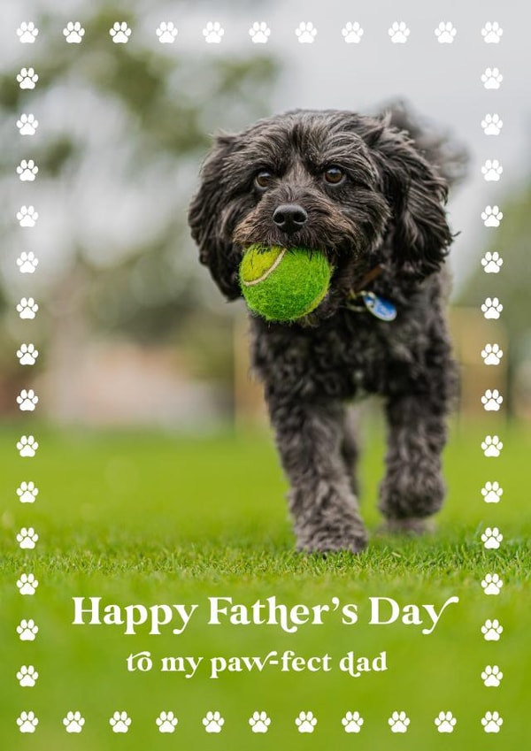 Cute Fathers Day Photo Card - From The Dog - Pawfect created by @tikkled.pink