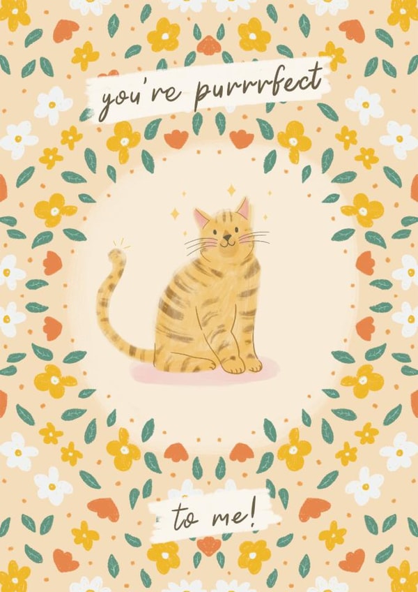 Cute Anniversary Card - Cat Illustration - You’re Purrrfect to me! created by Lisa Parker