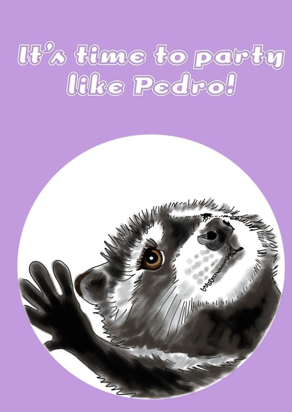 Cute Funny birthday congratulations card - Pedro racoon - Tik Tok - Instagram created by Maddy Philips