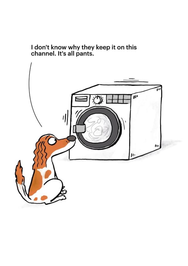Funny Birthday Card - Dog Watching Washing Machine - It's all Pants created by Cardinky