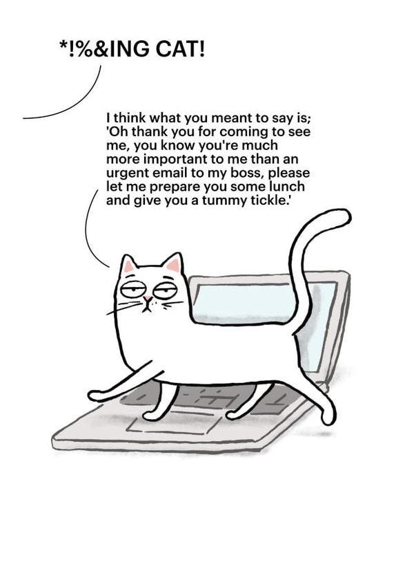 Funny Just Because card - Cartoon Cat - Important Email created by Cardinky