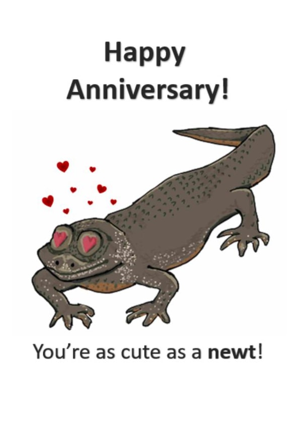 Cute as a Newt created by Square-faced Designs