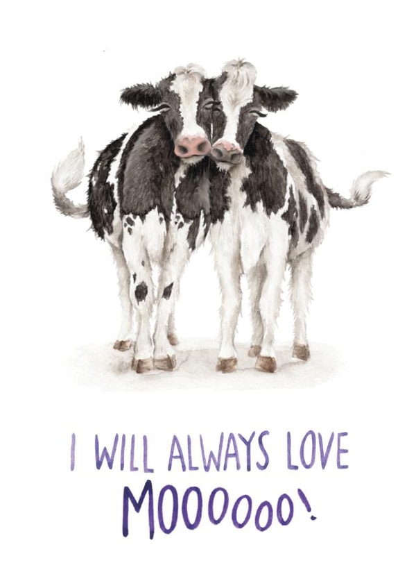 Funny Anniversary Card - I Will Always Love You Mooooooo! created by Citrus Bunn