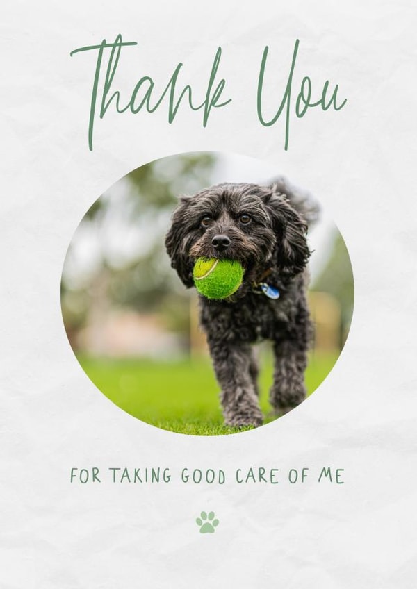 Cute Thank You Photo Card - From Pets - Pet Sitting Or Vet created by @hollielonglanddesigns