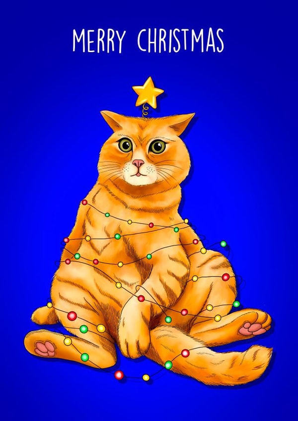 Cute Christmas Card - Cat Wrapped In Fairy Lights created by Poppy & Mabel 