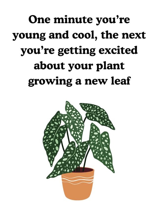 House plant lover birthday card created by Chonkies