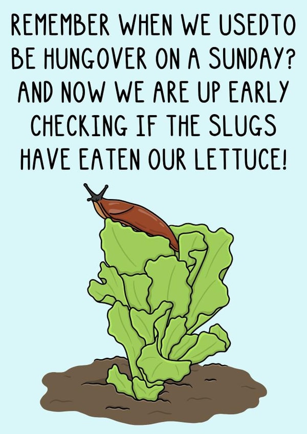 Cute Birthday Card - Gardening - Growing Lettuce - Slugs! created by OhJaye