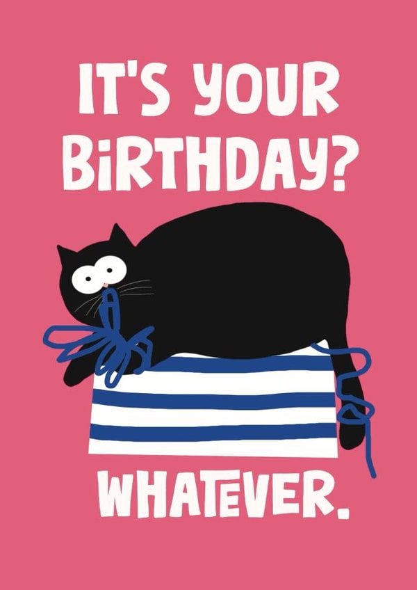 Funny Birthday Card - From The Cat - Sarcastic Cat | thortful