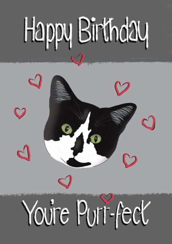 Cute birthday card for the cat lover in your life! created by Designs by Orrinea