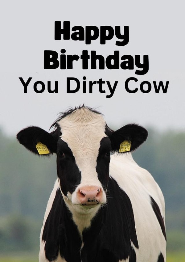 Funny Birthday card - dirty cow created by Riad Mannan
