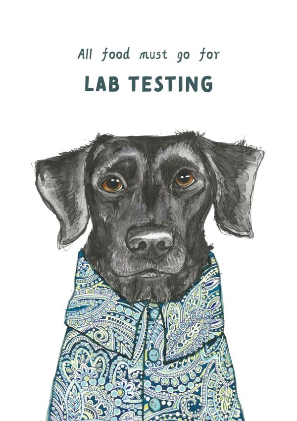 Cute Labrador Birthday Card - Dog - Arty created by Rosie Made A Thing