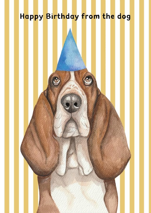 Cute Birthday Card - From The Dog - Basset Hound created by lil wabbit