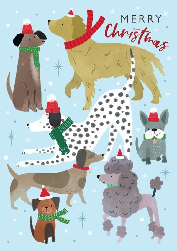 Cute Christmas Card - Dogs - Modern Contemporary created by Laura Darrington Design Ltd.