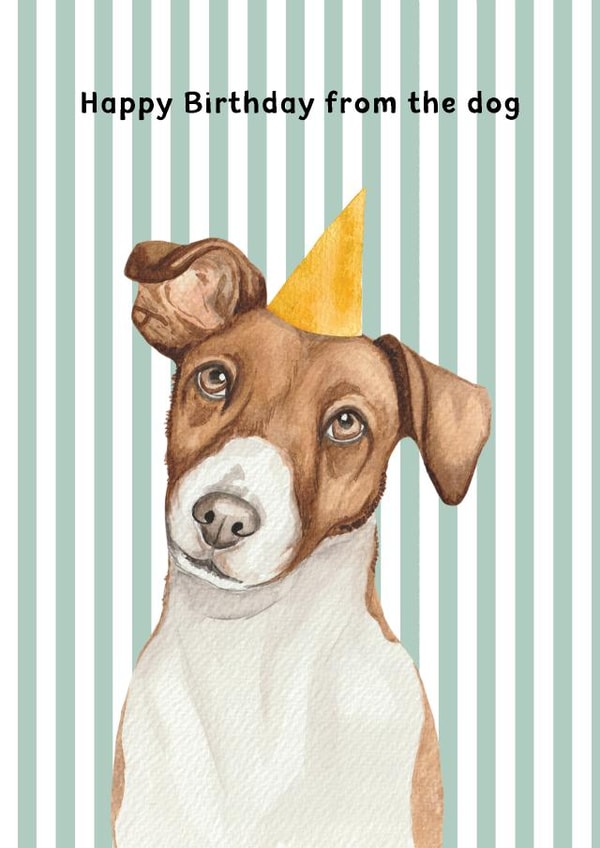Cute Birthday Card - From The Dog - Jack Russell - Party Hat created by lil wabbit