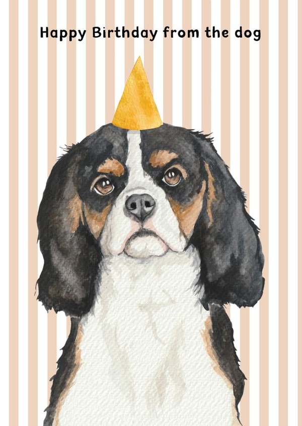 Cute Birthday Card - From The Dog - Cavalier King Charles Spaniel - Party Hat created by lil wabbit