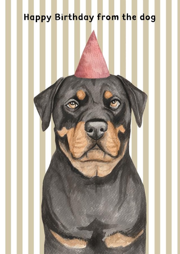 cute Birthday Card - From The Dog - Rottweiler - Party Hat | thortful