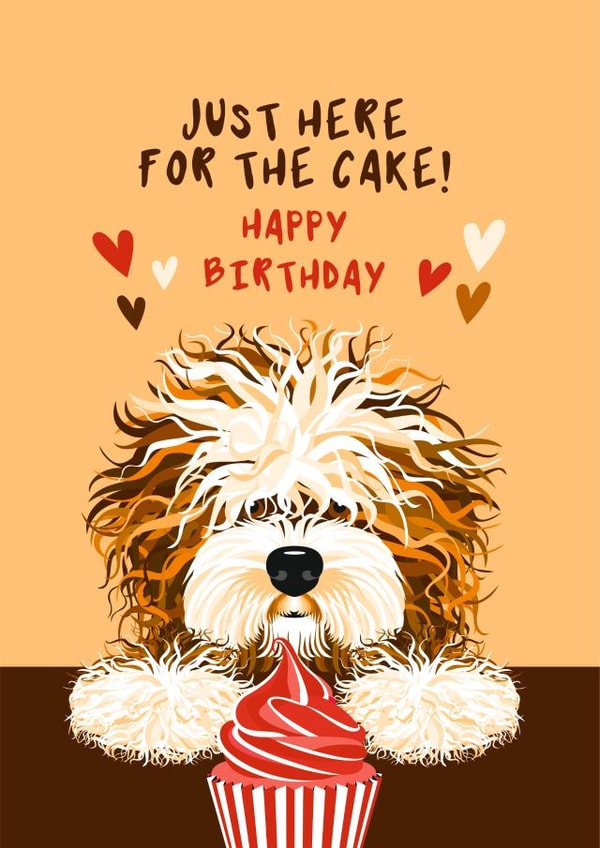 Cute Birthday Card - Shaggy Dog - Bearded Collie - Cake created by Diva Doodle Designs