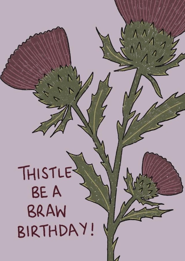 Funny Birthday Card - Scottish - Thistle Be a Braw created by Pippin Prints