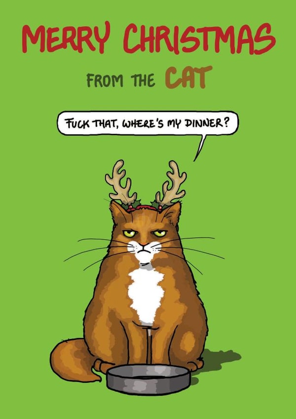 Funny Christmas Card - Grumpy Cat - From The Cat created by Bryony Jackson Walters