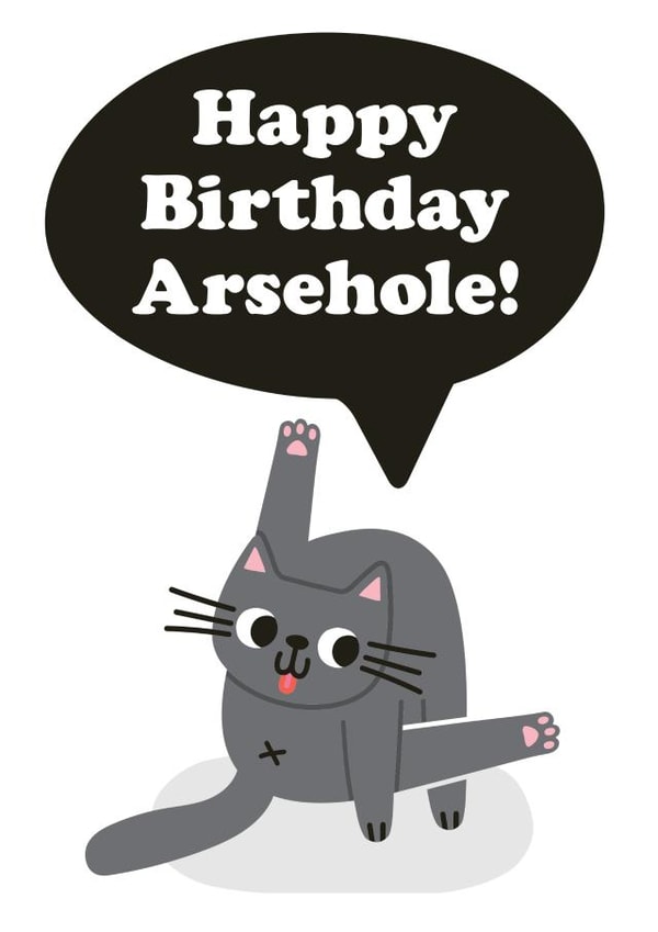 Cheeky Birthday Card - Arsehole - Cheeky Cat Card created by Studio Boketto