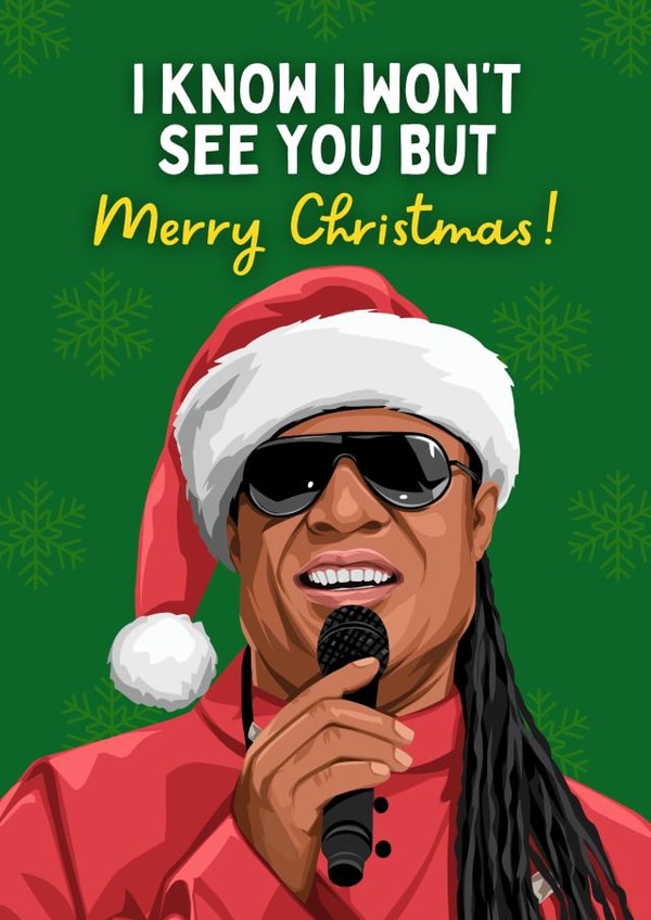 Funny Christmas Card - Long Distance Friends - Stevie Wonder - I Won't See You created by Sundiva Designs