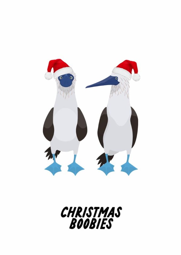 Funny Christmas Card - Peruvian Booby - Boobies - Pun created by The Marmalade Cat