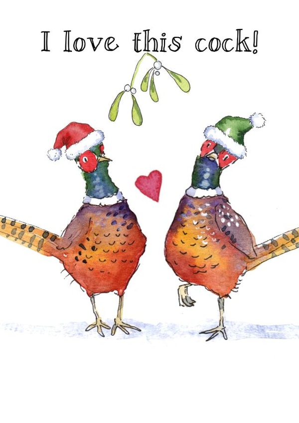 Funny Christmas Card - Pheasants - Gay - Mr And Mr created by Kate Garrett