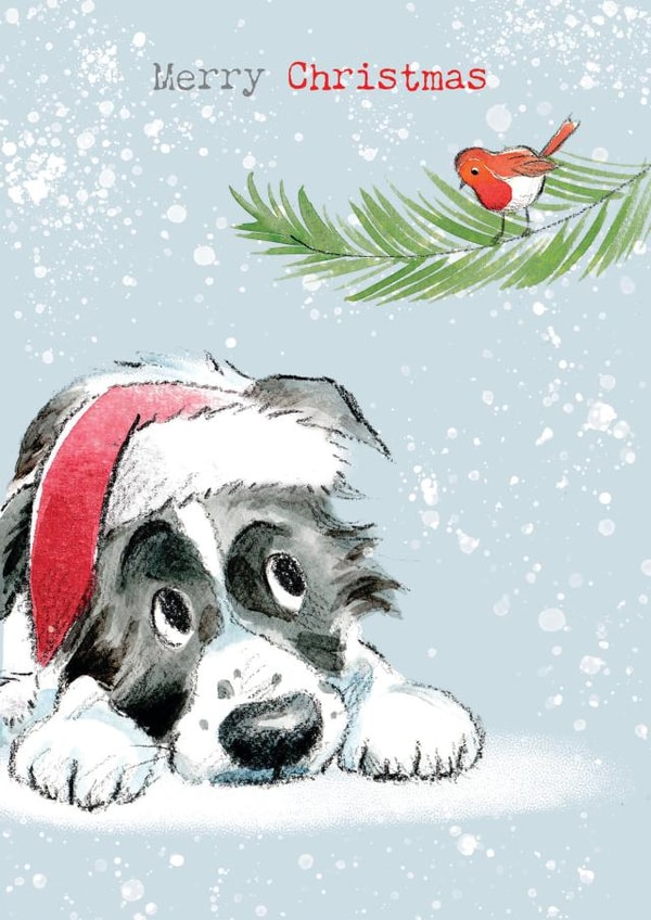 Cute Christmas Card - Merry Christmas - Collie Dog & Robin created by Paper Shed Design
