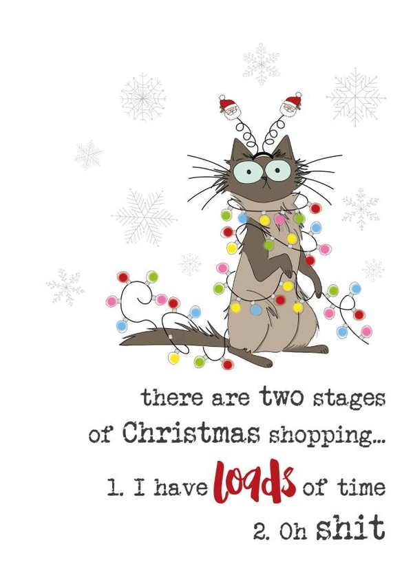 Funny Christmas Card - Cat - Two Stages Of Christmas Shopping created by Dandelion Stationery