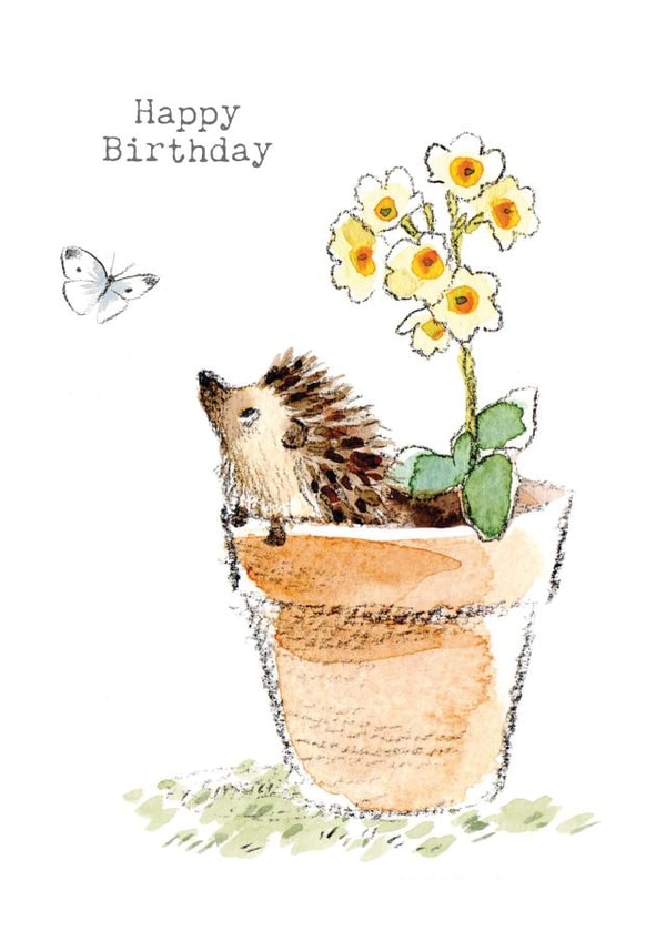 Cute Birthday Card - Hedgehog In Plant Pot created by Paper Shed Design